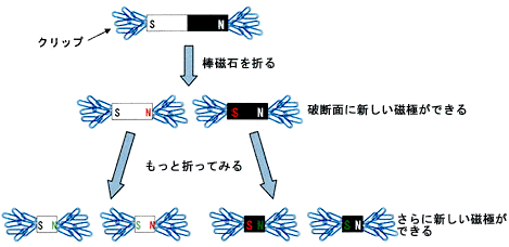 棒磁石を小さく折る度に新しい磁極ができていく様子の図解