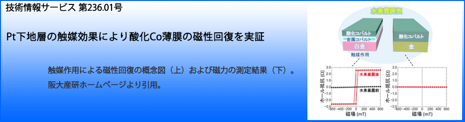 Pt下地層の触媒効果により酸化Co薄膜の磁性回復を実証