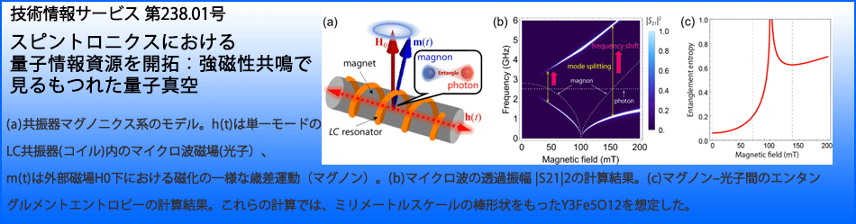 スピントロニクスにおける量子情報資源を開拓：強磁性共鳴で見るもつれた量子真空